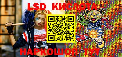 ПСИЛОЦИБИНОВЫЕ ГРИБЫ Камышлов