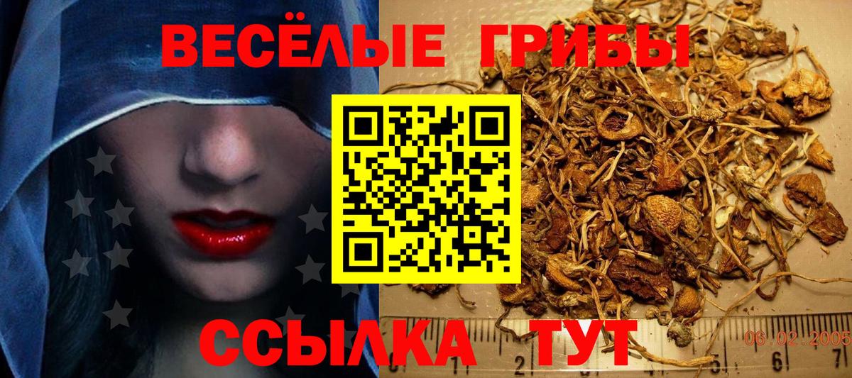 Галлюциногенные грибы GOLDEN TEACHER Великие Луки